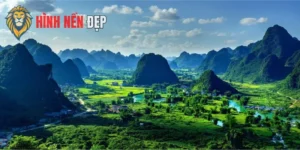 Ảnh Đẹp Làm Hình Nền Máy Tính, Điện Thoại Cực Chất Năm 2025