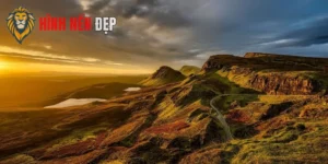 Ảnh Thiên Nhiên 4K Đầy Sức Sống, Chân Thực Từng Chi Tiết