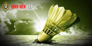 Hình Nền Cầu Lông Cực Chất Dành Cho Fan Thể Thao Năng Động