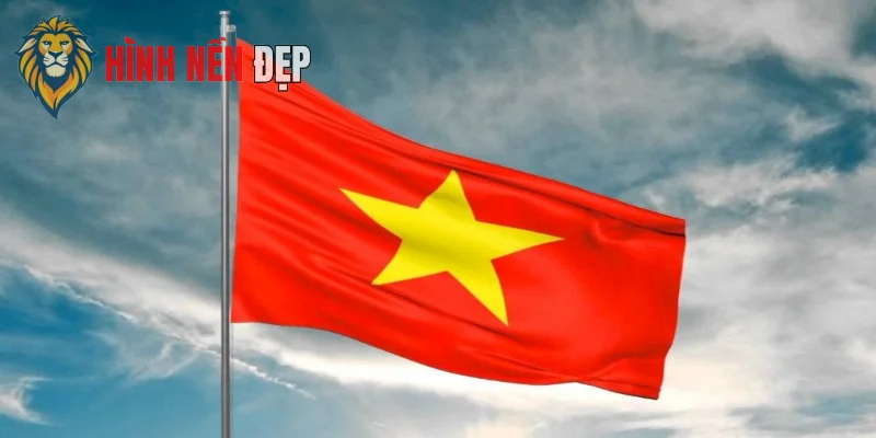 Hình nền cờ Việt Nam 4K là biểu tượng sự tự hào dân tộc