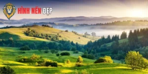 Hình Nền Máy Tính Full HD Sắc Nét, Sinh Động Từng Khung Hình