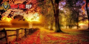 Hình Nền Phong Thủy Mệnh Thổ Giúp Kích Tài Lộc Và May Mắn