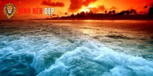 Hình Nền Samsung Đẹp, Tối Ưu Mọi Dòng Máy Galaxy Hiện Đại