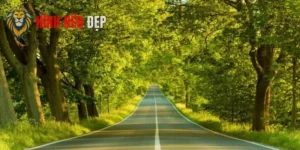 tải hình nền miễn phí