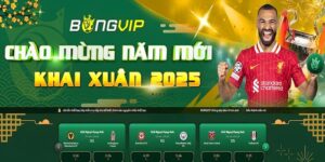 Bong vip - Sân chơi an toàn với tỷ lệ thắng lớn khi cá cược
